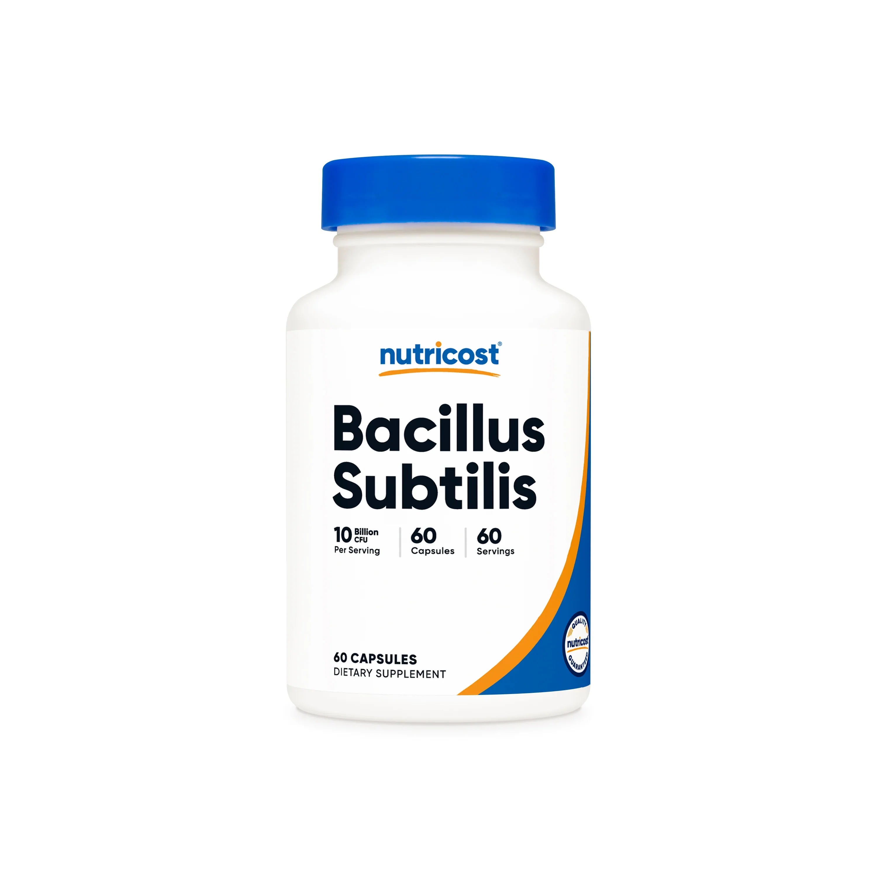 Bacillus Subtilis