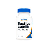 Bacillus Subtilis